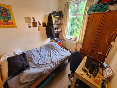 Picture 8